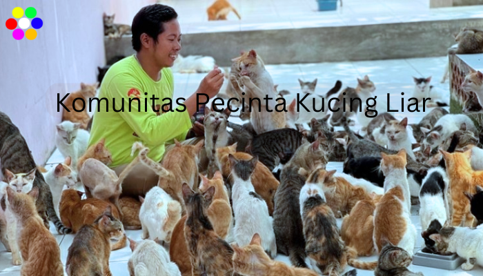 Komunitas Pecinta Kucing Liar Di Daerah Jakarta