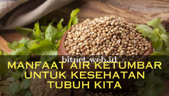 Manfaat_Air_Ketumbar_Untuk_Kesehatan_Tubuh_Kita.png