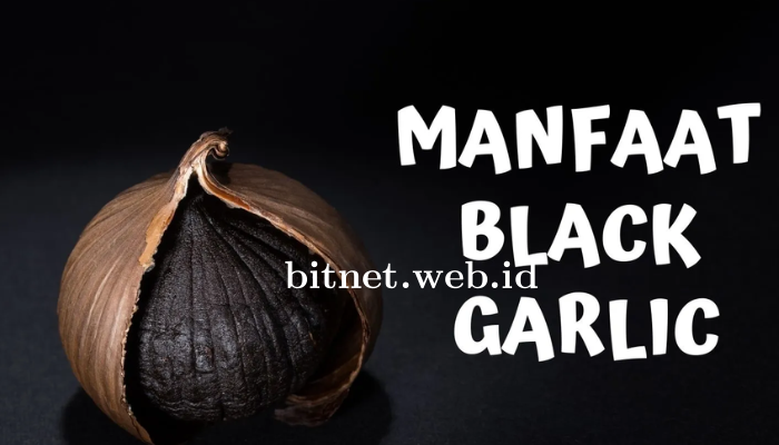 Mengenal Black Garlic: Khasiat Luar Biasa Untuk Kesehatan