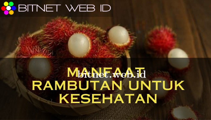 Manfaat_Rambutan_Untuk_Kesehatan.png