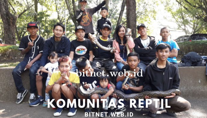 Komunitas Pecinta Reptil Di Indonesia