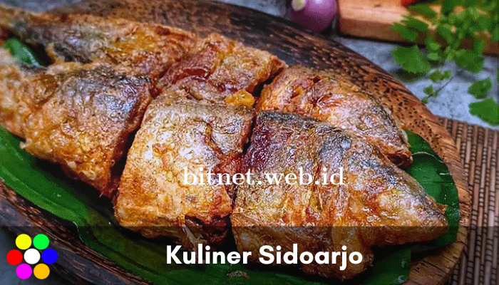 Kuliner Sidoarjo Hits Paling Banyak disukai di Seluruh Jawa Timur ini!