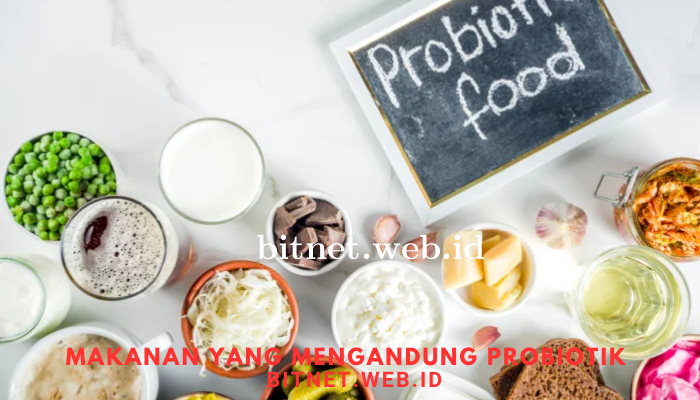 Jenis-Jenis Makanan Yang Mengandung Probiotik