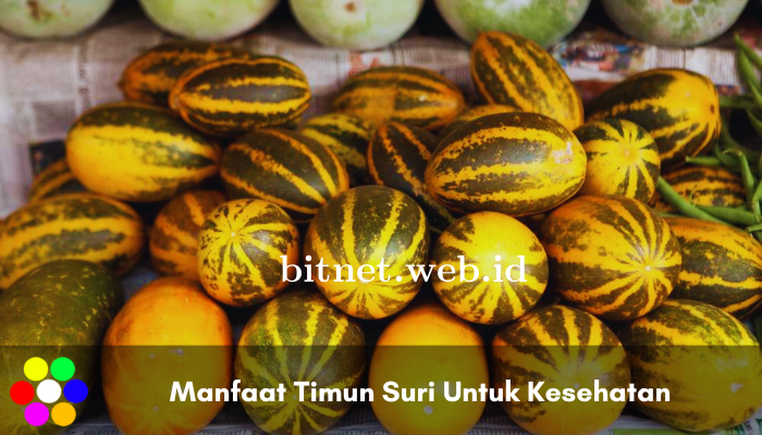 manfaat-timun-suri-untuk-kesehatan.png