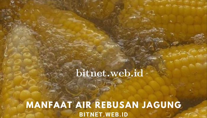 manfaat_air_rebusan_jagung.png