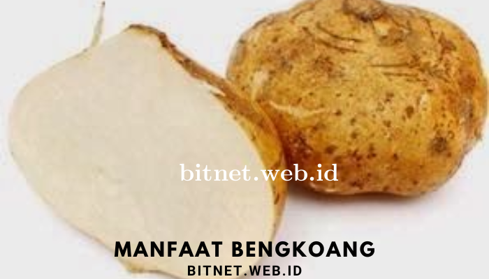 manfaat_bengkoang.png