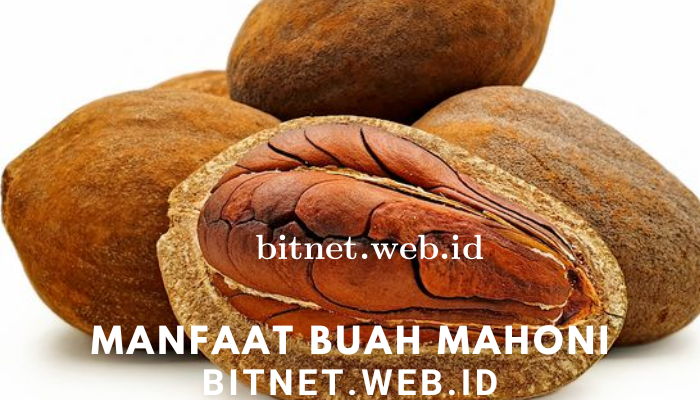 Manfaat Buah Mahoni Bagi Kesehatan Dan Cara Makannya