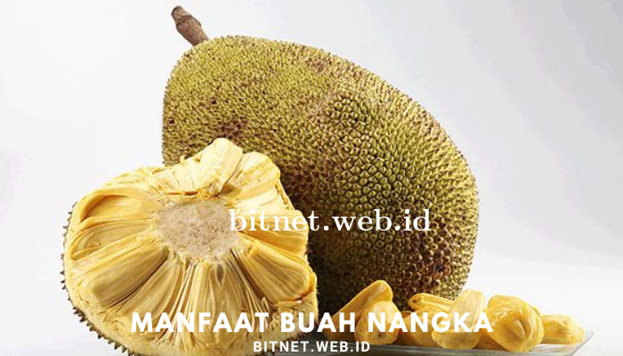 manfaat_buah_nangka.png