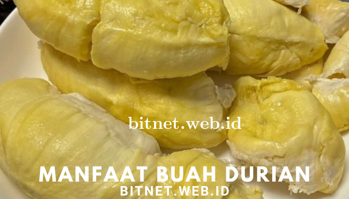 manfaat_durian.png