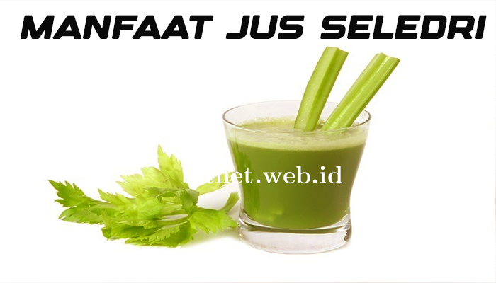 manfaat_jus_seledri_untuk_kesehatan.png