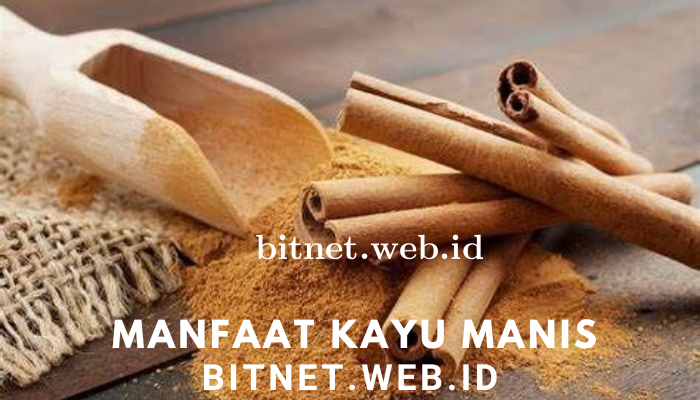 Manfaat Dari Kayu Manis Bagi Kesehatan Kita