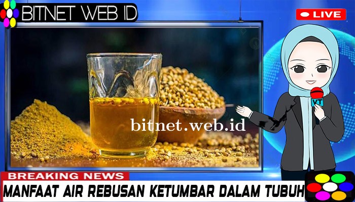 Manfaat Rebusan Ketumbar Untuk Kesehatan