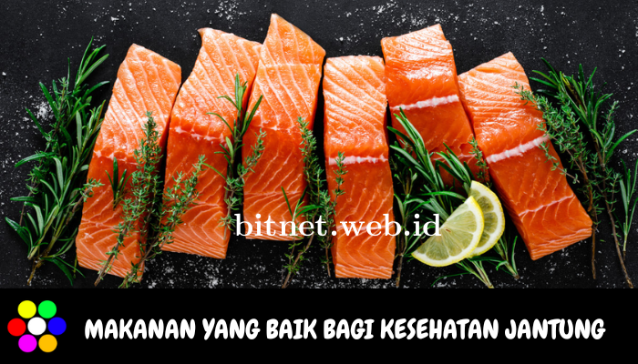 Manfaat Daging Ikan Salmon Bagi Kesehatan Jantung