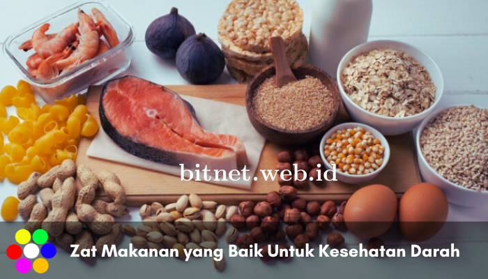 Daftar Zat Makanan yang Baik untuk Kesehatan Darah Tubuh Manusia